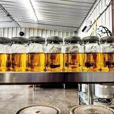 Reakiro CBD Vegan Gummies 300mg Orange